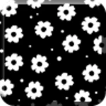 Logo of Cute Wallpaper Daisy Flower android Application 